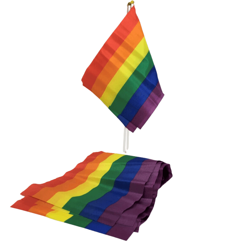 Pride Petite bannière drapeau LGBT arc-en-ciel 30 cm